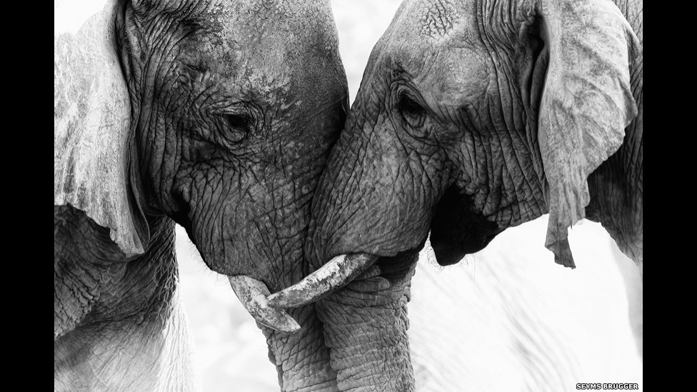 O Prêmio Mundial de Fotografia da Sony 2015, organizado pela Organização Mundial de Fotografia, está com as inscrições abertas. Ahmad Mohamad Zikri Zuki, da Malásia, apresentou esta imagem: "Os tempos são difíceis para os sonhadores" - Seyms Brugger