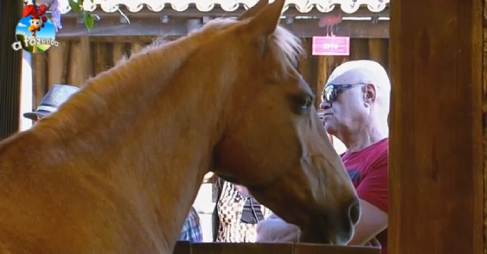 16.set.2014 - Oscar Maroni ouve instruções sobre cuidados com os cavalos
