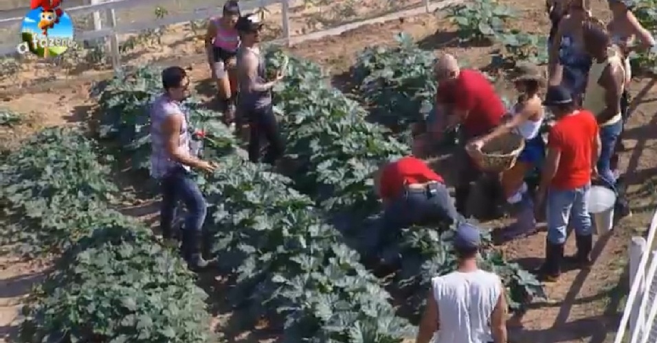 16.set.2014 - Peões aprendem a cuidar da horta e aproveitam para recolher vegetais