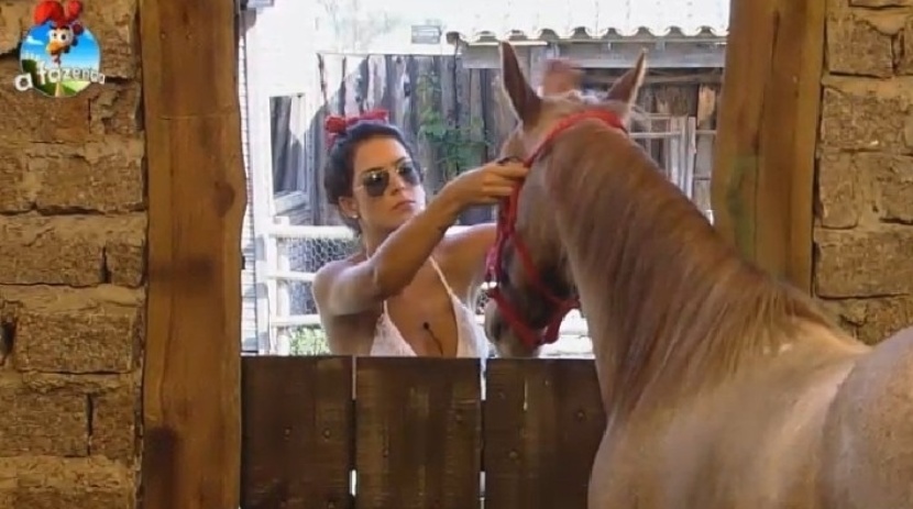 Débora Lyra prepara o cavalo antes de levá-lo para passear