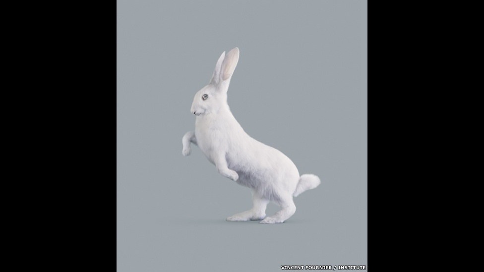 O artista francês Vincent Fournier misturou ficção e biologia sintética wm uma exploração da relação entre intervenção humana na natureza e a evolução natural. O coelho criado por Fournier acabou se transformando em uma animal com maior capacidade cognitica, graças à modificação de seus neurônios motores - Vincent Fournier/Institute