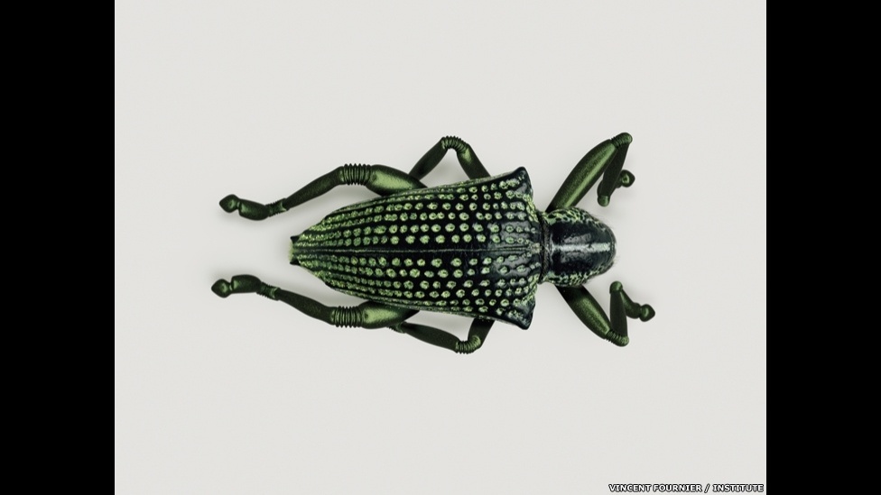 O artista francês Vincent Fournier misturou ficção e biologia sintética wm uma exploração da relação entre intervenção humana na natureza e a evolução natural. O gorgulho "Entimus jumpis" foi adaptado e se transformou em um inseto de grandes saltos. Componentes metálicos ajudam o movimento da criatura - Vincent Fournier/Institute