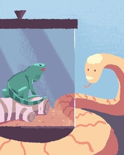 Animal de estimação - Escorpião - Igor Pizzuto/Arte UOL