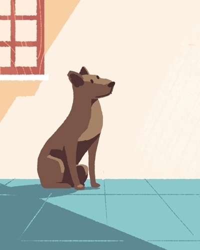 Animal de estimação - Leão - Igor Pizzuto/Arte UOL