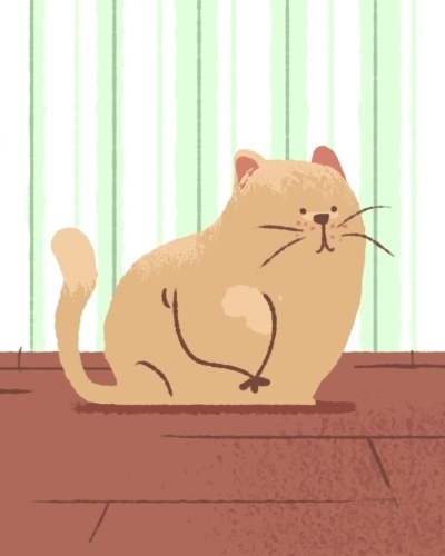 Animal de estimação - Touro - Igor Pizzuto/Arte UOL