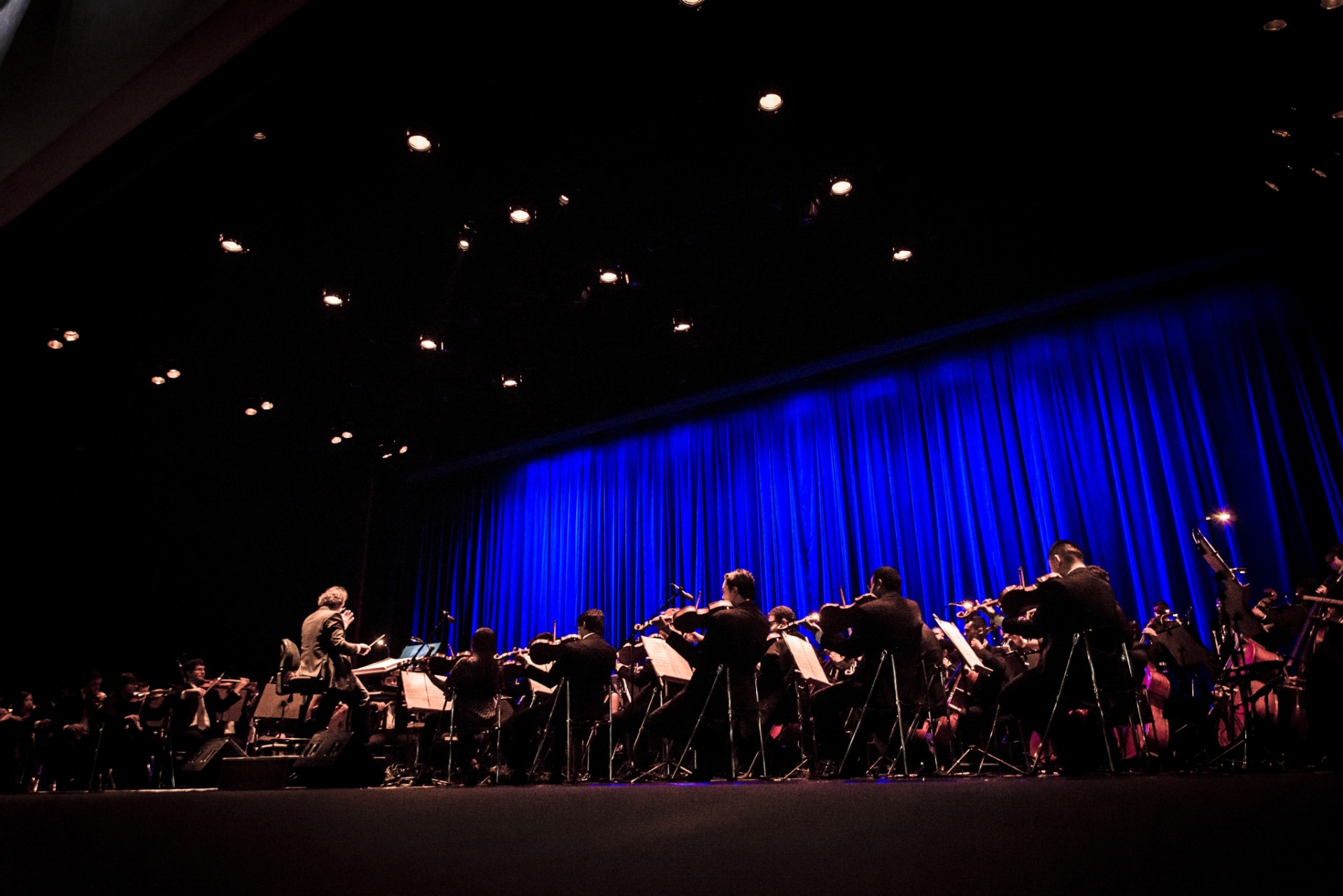 1°.nov.2014 - O longa "O Circo", de Charlie Chaplin, foi exibido gratuitamente no parque Ibirapuera, acompanhado pela Orquestra Experimental de Repertório da Fundação Theatro Municipal de São Paulo. A homenagem aos 100 anos do personagem Carlitos marcou o encerramento da Mostra Internacional de Cinema de São Paulo - Rafael Roncato/UOL