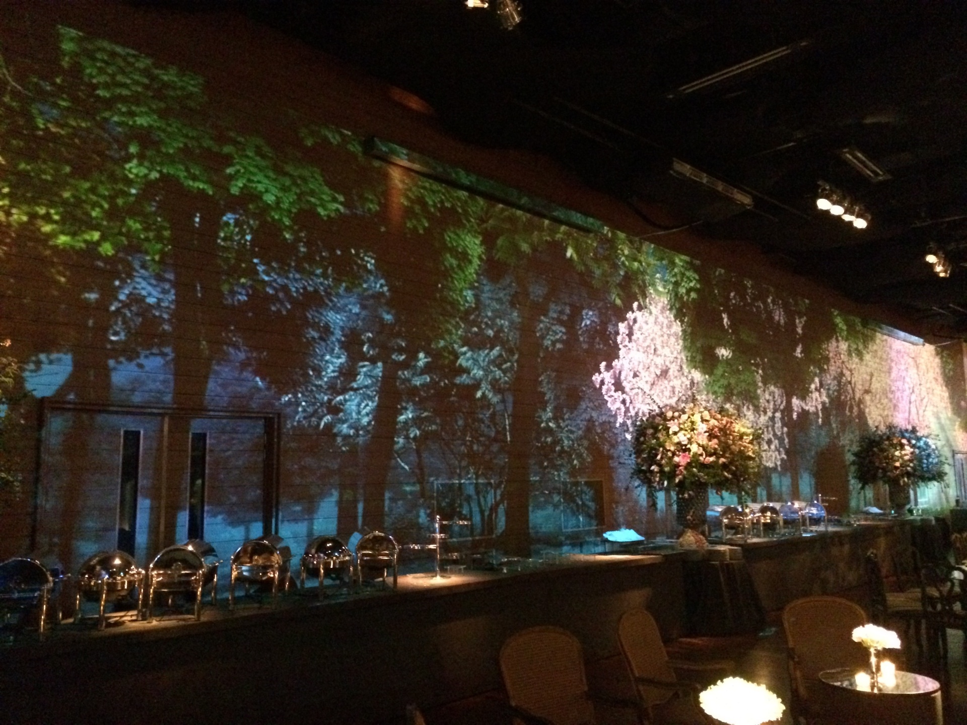 Projeção de imagens - Divulgação