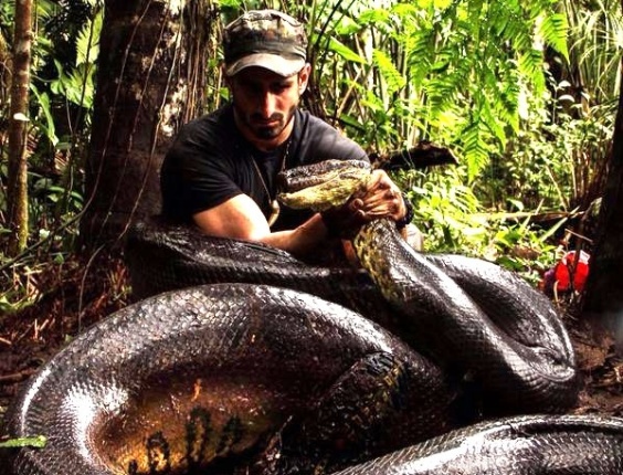 "Queríamos proteger a Amazônia", diz explorador não engolido por cobra