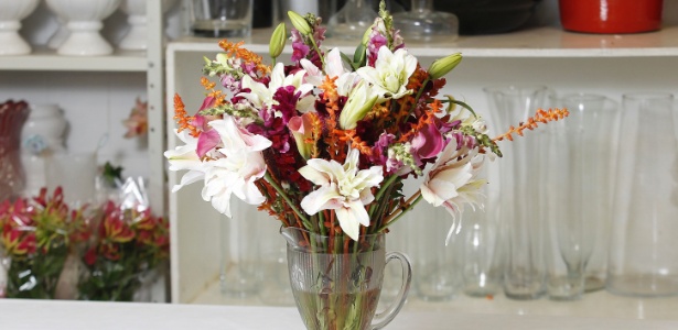 O que é melhor para planta? Água fria, quente ou em temperatura ambiente?