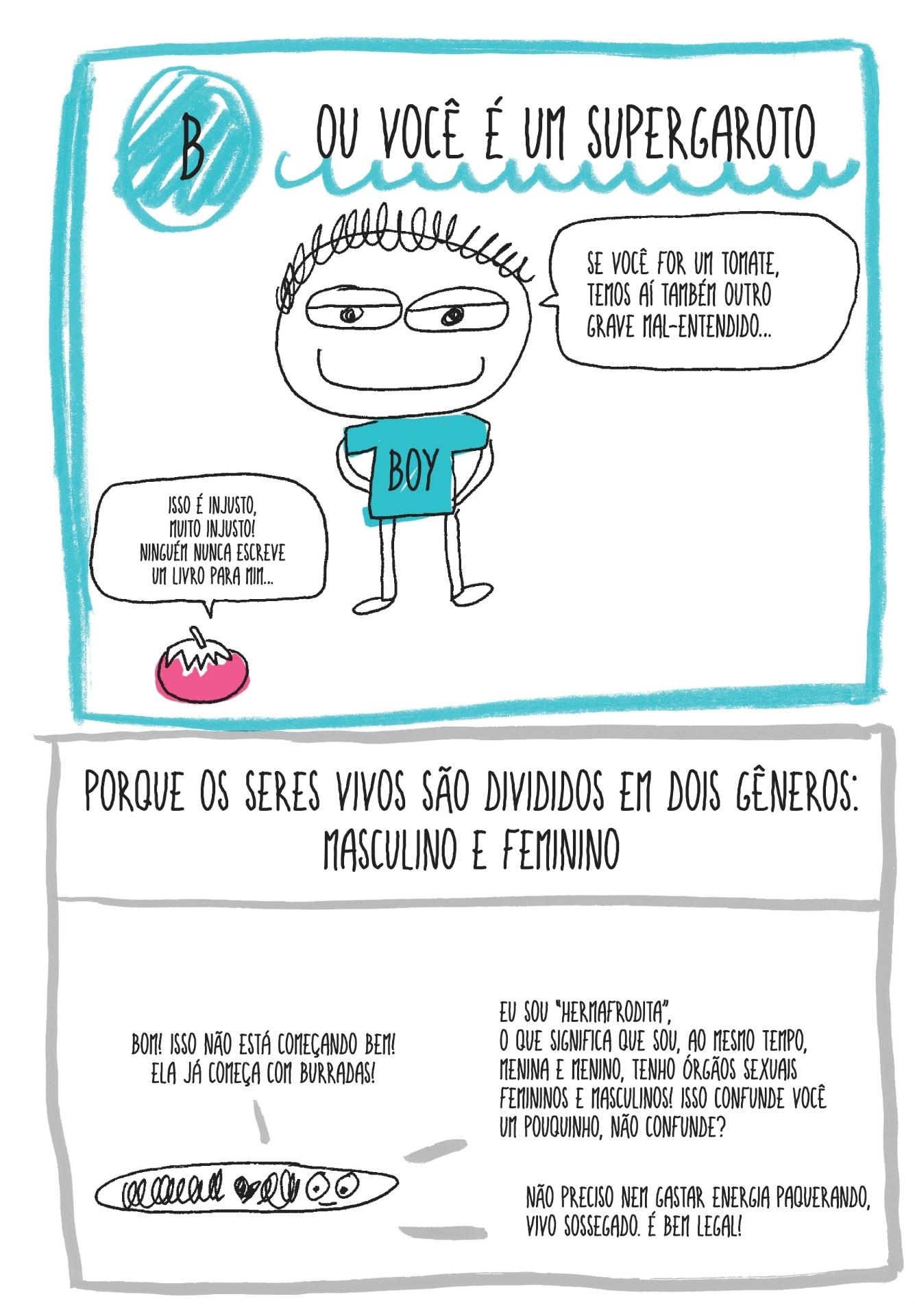 "O Livro que Finalmente Diz Tudo Sobre Meninas e Meninos (O Fim do Grande Mistério)" - Divulgação