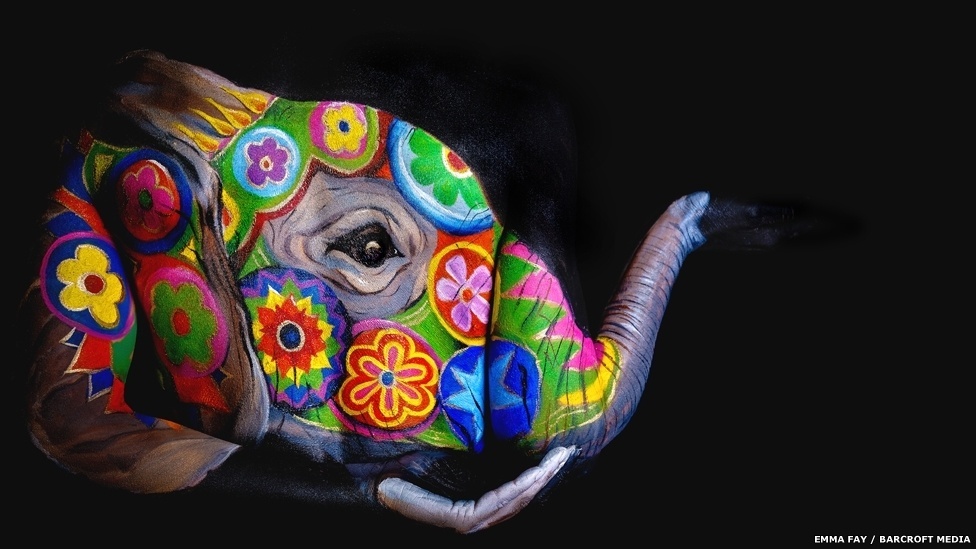 A artista, que mora em Leicester, na Inglaterra, transformou outro corpo em um elefante colorido - Emma Fay/Barcroft Media