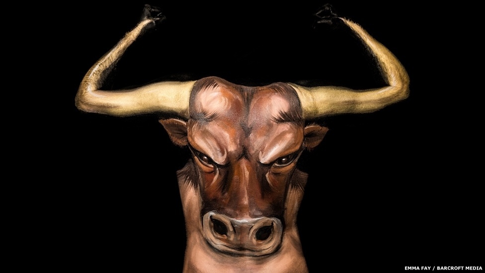 Ela também deu ao corpo de um contorcionista o formato de um touro - Emma Fay/Barcroft Media