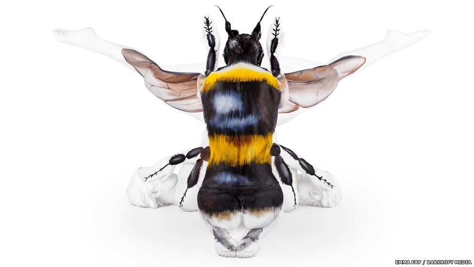 Ela também deu ao corpo de um contorcionista o formato de uma abelha - Emma Fay/Barcroft Media