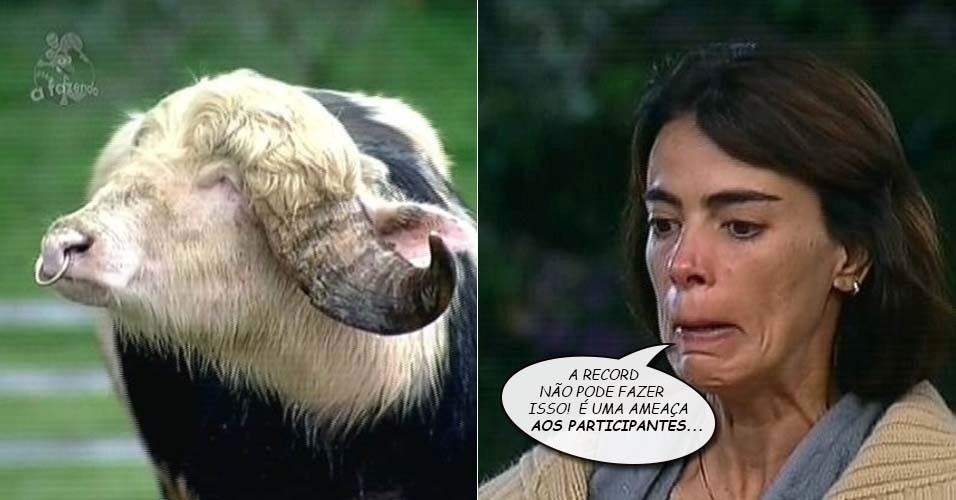 Heloisa Faissol reclama do búfalo de "A Fazenda 7" depois de Marlos quase ser atacado pelo animal