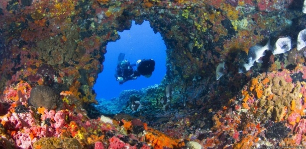 A beleza subaquática de Noronha pelas lentes do Google Maps