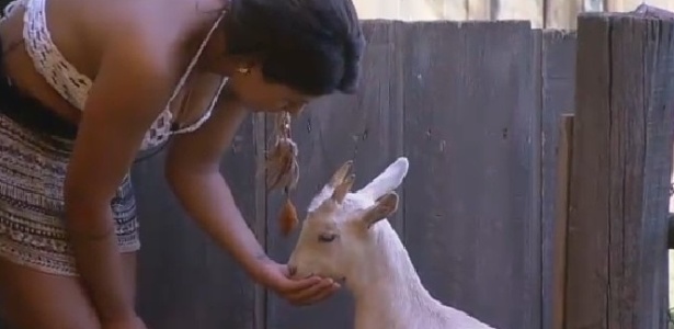 Babi Rossi alimenta cabra após quase confundir a ração do animal