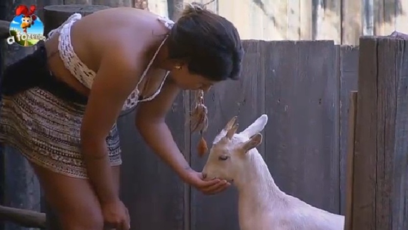 Babi Rossi alimenta cabra após quase confundir a ração do animal