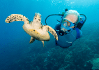 Filho de Jacques Cousteau participa de cruzeiros na Polinésia Francesa - Carrie Vonderhaar/Ocean Futures Society