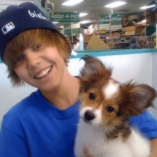 11.dez.2014 - Justin Bieber lamenta a morte de seu cachorro Sammy e posta uma foto no Instagram em homenagem ao seu bicho de estimação