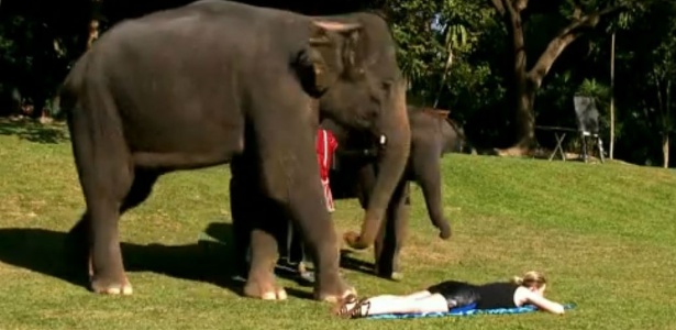 Repórter do Faustão recebe massagem de elefante de 1 tonelada na Tailândia