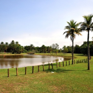 Parque Bosque da Barra no Rio - Alexandre Macieira/Riotur - Alexandre Macieira/Riotur
