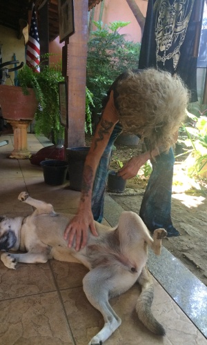 5.jan.2015 - Serguei acaricia seu cachorro Fiuk, nome dado em homenagem ao filho de Fábio Jr.