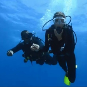 Grazi Massafera realiza o seu primeiro mergulho autônomo no mar de Fernando de Noronha