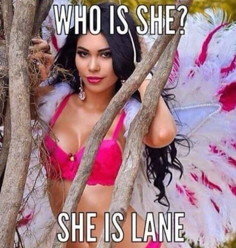 6.fev.2015 -  A confusão na final do Miss Amazonas 2015 rendeu memes e diversas brincadeiras em redes sociais