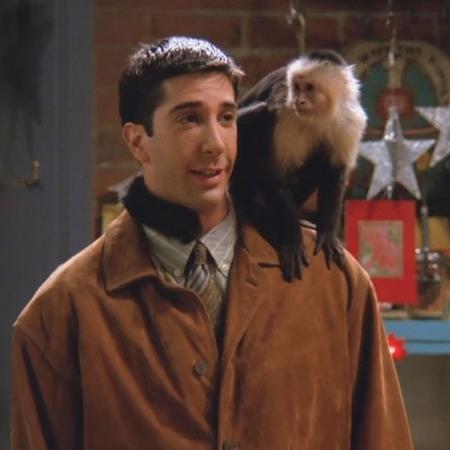 Ross Geller (David Schwimmer) e seu macaquinho Marcel em cena de "Friends" - Reprodução/Friends