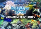 Transmissão é interrompida e pay-per-view exibe aquário - Reprodução/TV Globo