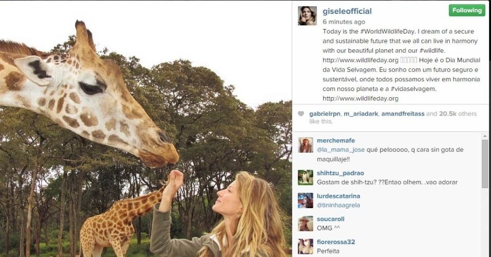 03.mar.2015 - Gisele Bündchen, sempre ligada às questões relacionadas à preservação da natureza, mostrou na tarde desta terça-feira em seu Instagram uma foto com uma girafa. A beldade fez ainda seus votos para o futuro do planeta. 