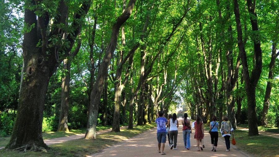 Serralves tem um parque com 18 hectares que abriga museu, biblioteca, auditório e obras de arte - Débora Costa e Silva/UOL