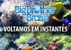 Sinal do "BBB15" é interrompido no pay-per-view: "Voltamos em instantes" - Reprodução/TV Globo