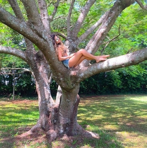 17.mar.2015 - Paula Fernandes sobe na árvore e posta foto no Instagram