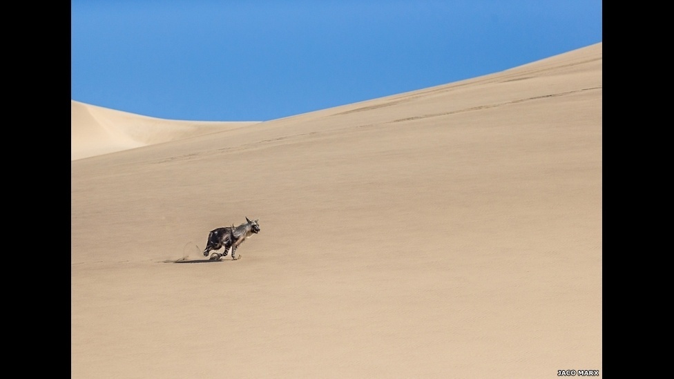 O Sony World Photography Awards de 2015 anunciou os vencedores de seu programa dedicado aos prêmios nacionais, dados aos autores das melhores fotos de 54 países - Jaco Marx