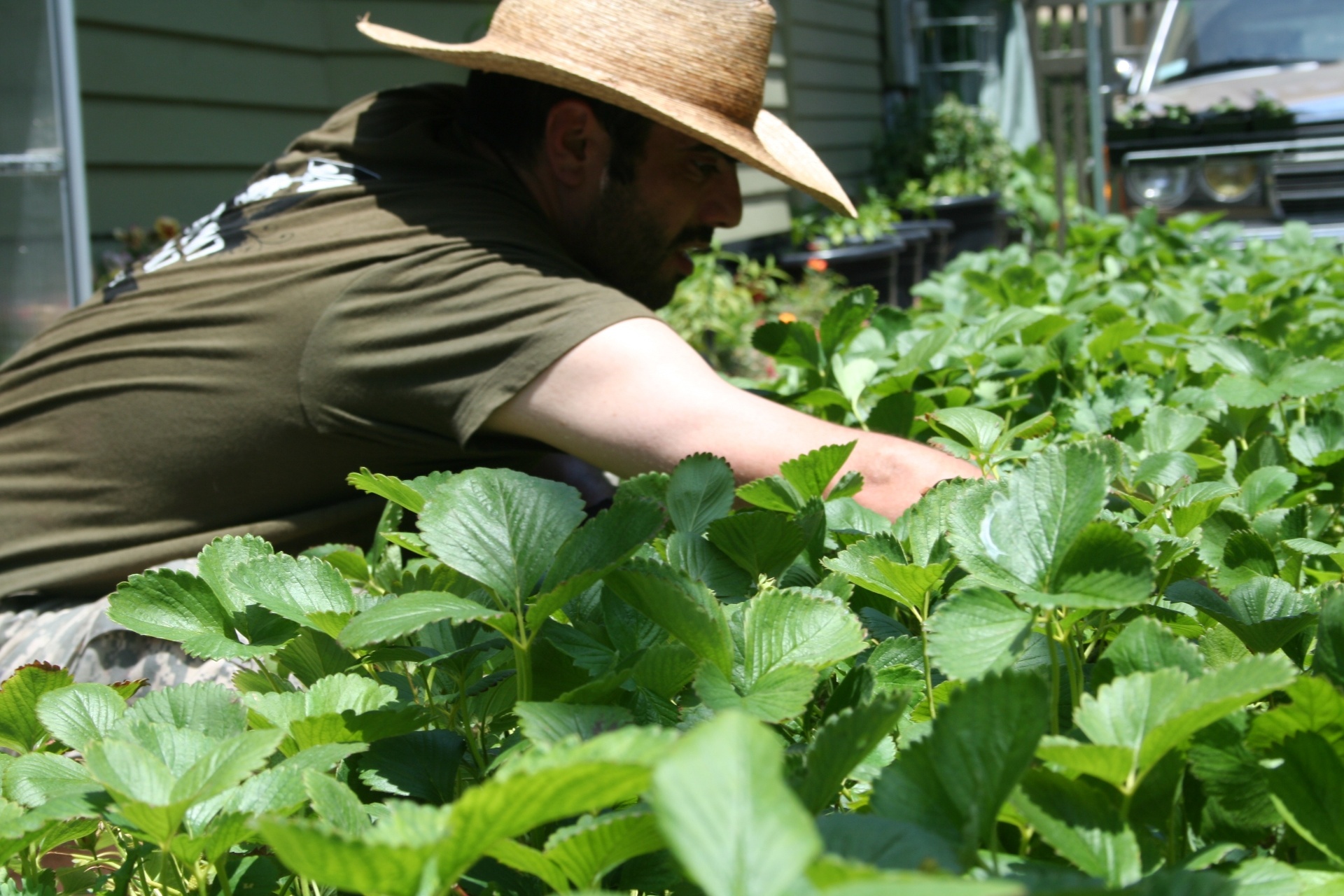 Justin Dervaes trabalha no cultivo dos canteiros de hortaliças e outros vegetais. Justin, seu pai Jules e suas irmãs Anais e Jordanne mantêm a horta orgânica no quintal de sua casa em Pasadena, na Califórnia (EUA) - Divulgação/ Urban Homestead®