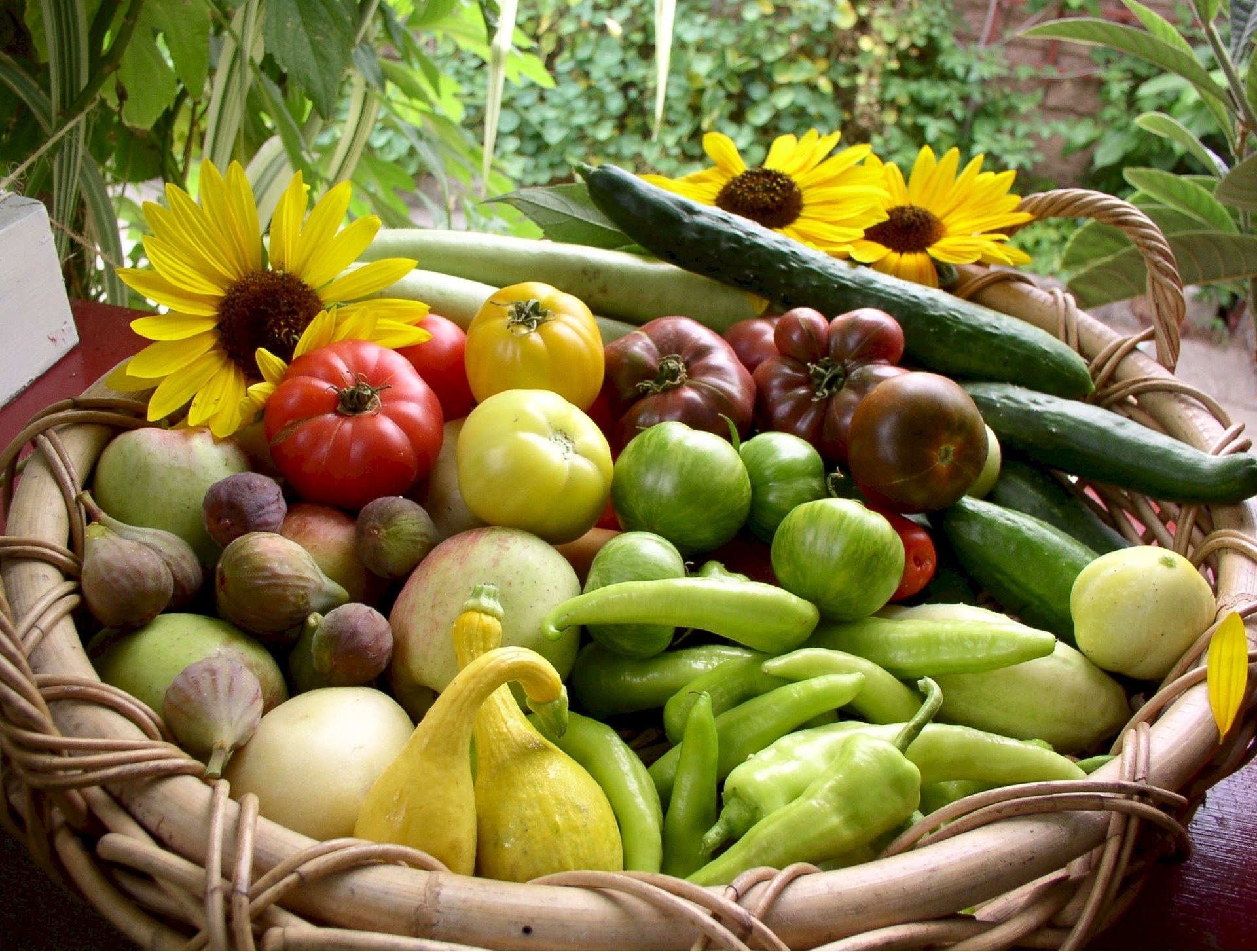 O cesto armazena alguns legumes e frutas colhidos na horta orgânica mantida pela família Dervaes no quintal de sua casa em Pasadena, na Califórnia (EUA). O projeto Urban Homestead® produz por ano 2.700 quilos de alimentos frescos em um terreno com 362 m² - Divulgação/ Urban Homestead®