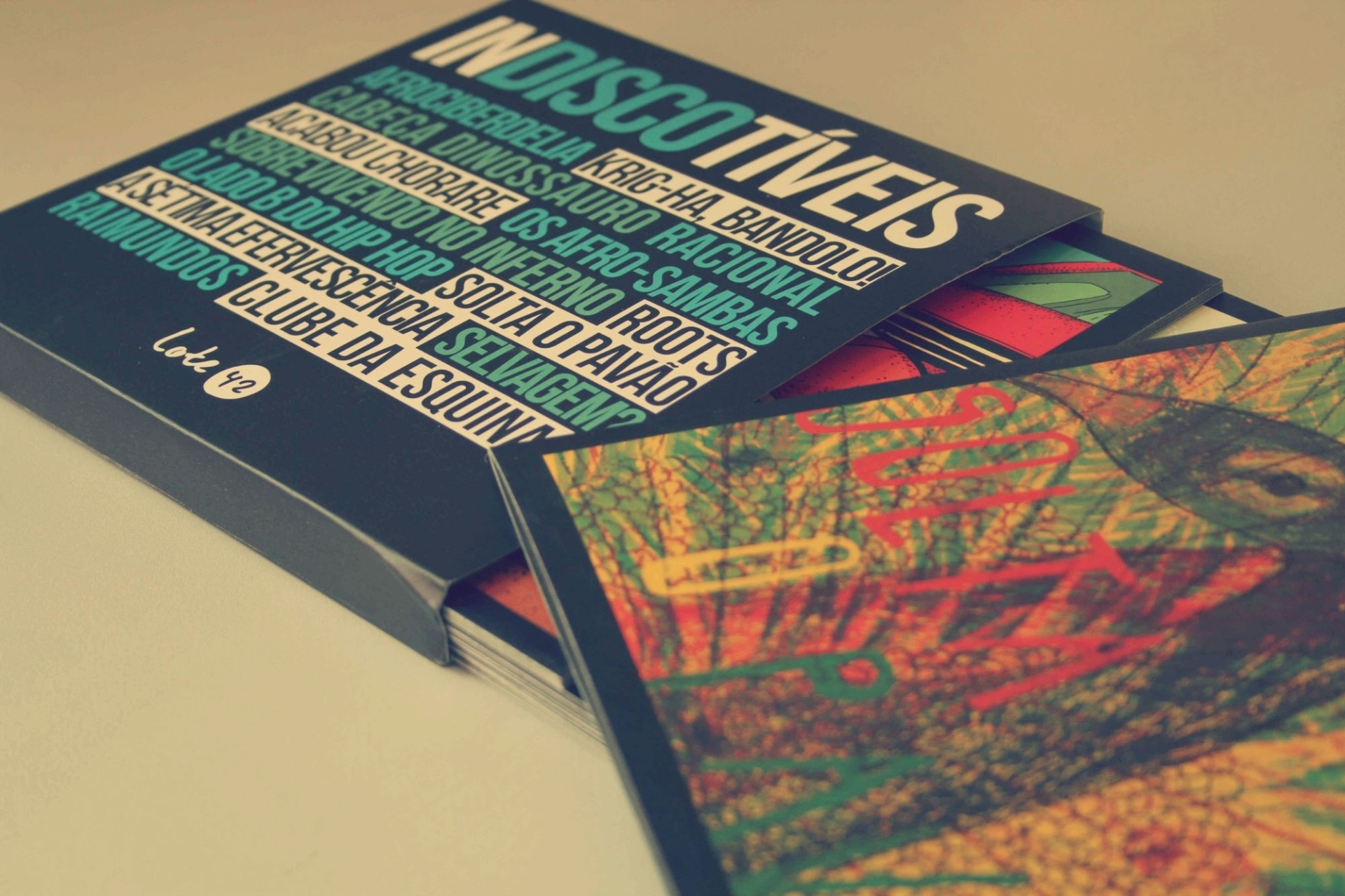 Com o slogan "Um livro para ler no volume máximo", "Indiscotíveis" é assinado por 14 autores (como Emicida e Kid Vinil) e foi o sexto título lançado pela editora independente Lote 42, em 2014. Para saber mais sobre a publicação, visite o hotsite http://www.lote42.com.br/indiscotiveis/ - Luisa Cardoso