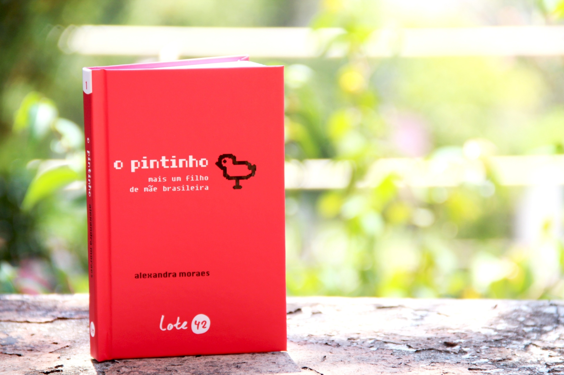 "O Pintinho", da jornalista Alexandra Moraes, foi o segundo título lançado pela editora independente Lote 42, em 2013. Para saber mais sobre a publicação, que já está com seu estoque da 1ª edição quase no fim, visite o hotsite http://www.lote42.com.br/pintinho/o-pintinho---livros.html - Barbara Heckler
