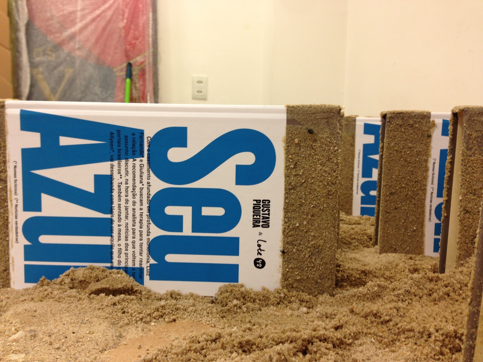 "Seu Azul", do escritor Gustavo Piqueira,  foi o quarto título lançado pela editora Lote 42, em 2013. A história gira em torno de um casal em crise que tenta animar o relacionamento lendo notícias da internet. A capa usa areia de verdade, o livro é todo feito em diálogos e inclui "truques" de diagramação: quando um personagem está bêbado, a letra fica espremida, e em uma discussão foi colocada uma frase sobre a outra. Para saber mais sobre a publicação, visite o hotsite http://www.lote42.com.br/seuazul/ - Casa Rex