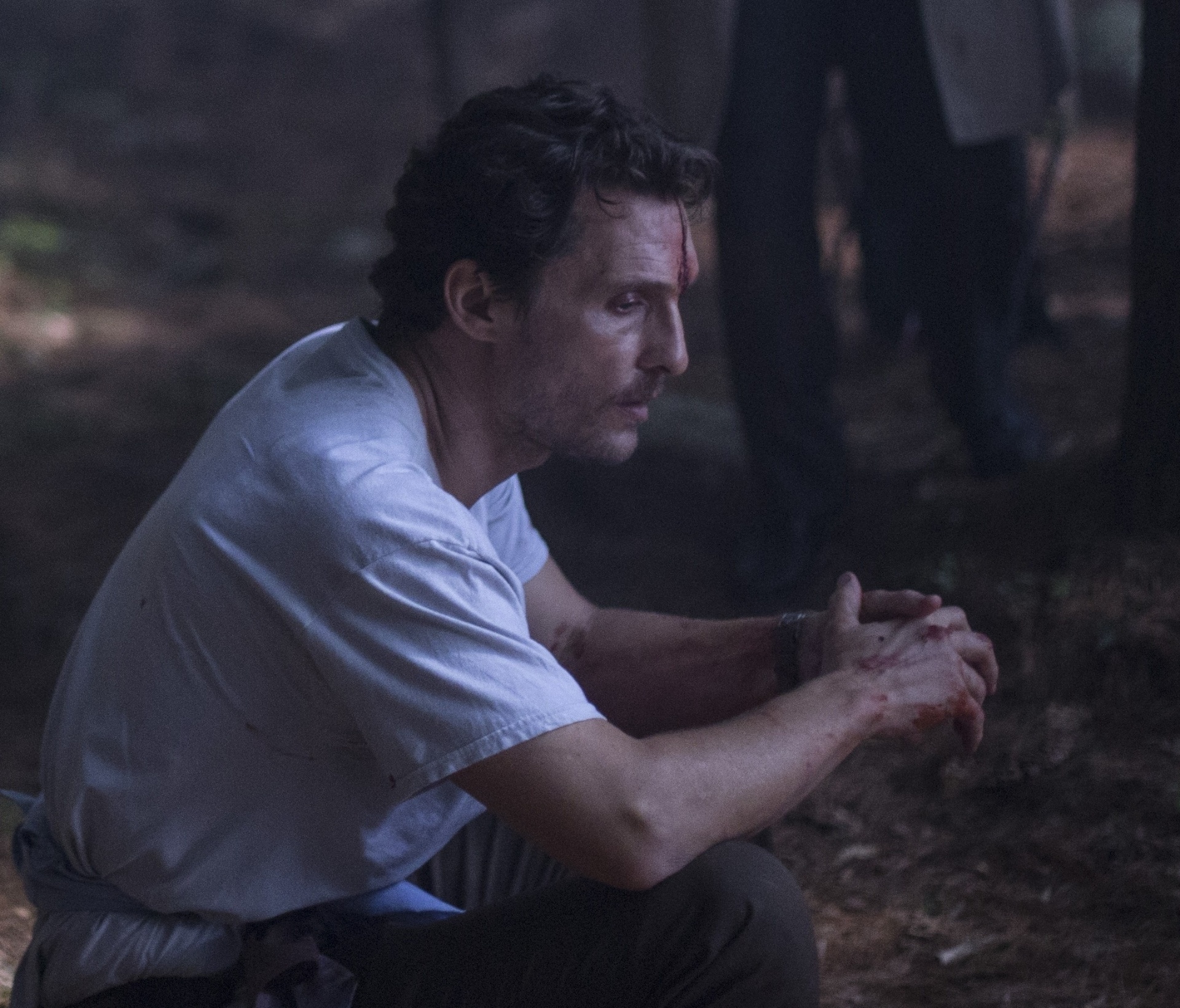 "The Sea of Trees", de Gus Van Sant - Divulgação