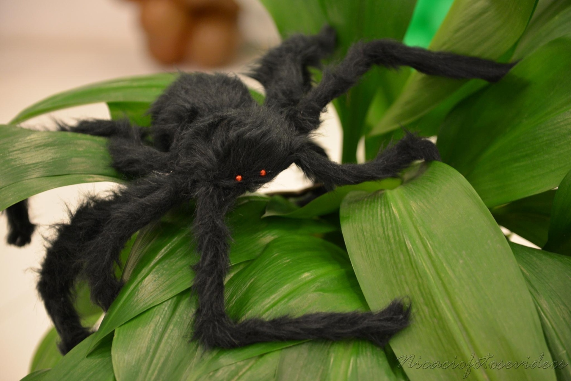 álbum com temas menos infantis para aniversários - Divulgação