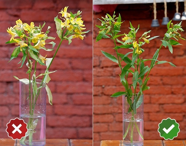 Astromélia (ou alstroeméria) - Alstroemeria hybrida: No geral, as alstroemérias apresentam boa durabilidade, chegando a permanecer vistosas em vasos por até 15 dias. Ao comprar, escolha os exemplares em que é possível observar a cor da flor mesmo sem a abertura total do botão - Reinaldo Canato/ UOL/ Arte UOL