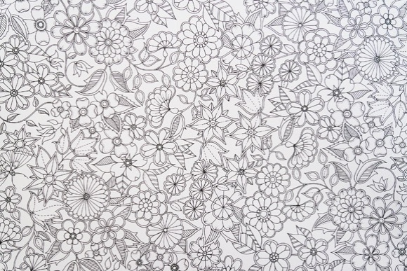 Ilustração para colorir de "Jardim Secreto", de Johanna Basford - Divulgação