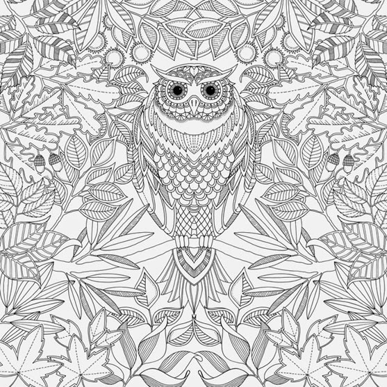 Ilustração para colorir de "Jardim Secreto", de Johanna Basford - Divulgação