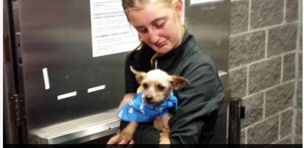 Karisa Lambert se reencontra com seu cão no aeroporto de Nova Orleans - Reprodução/CNN