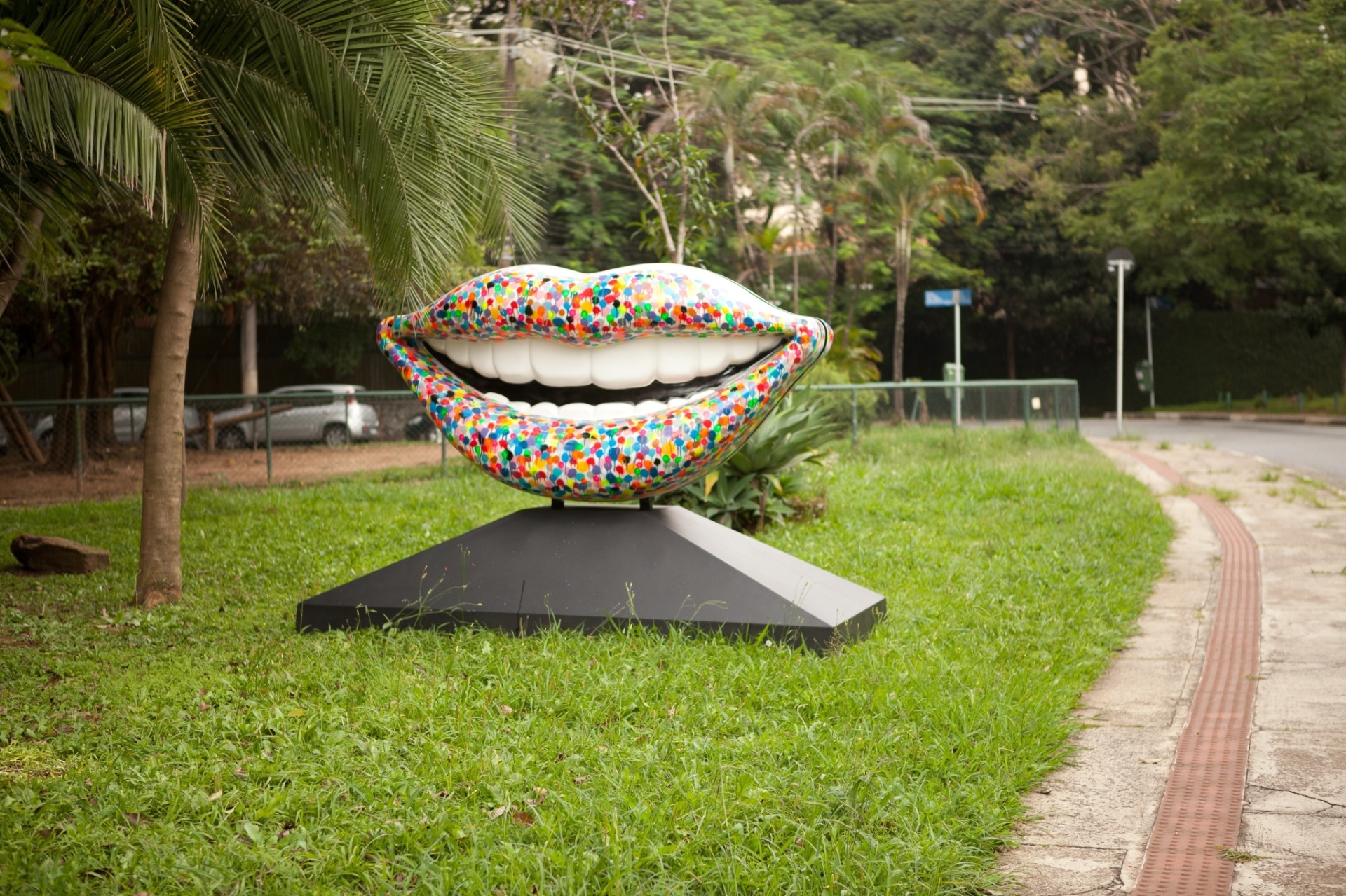 Obra da exposição "Sorriso para Todos" - Divulgação