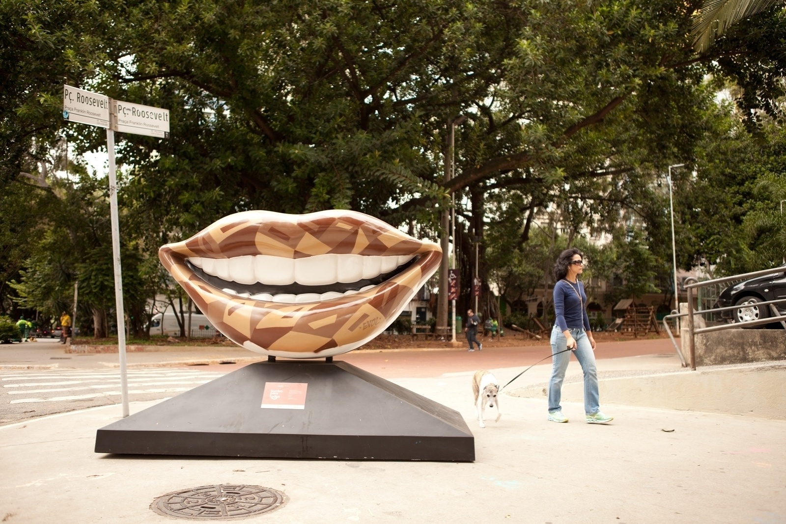 Obra da exposição "Sorriso para Todos" - Divulgação