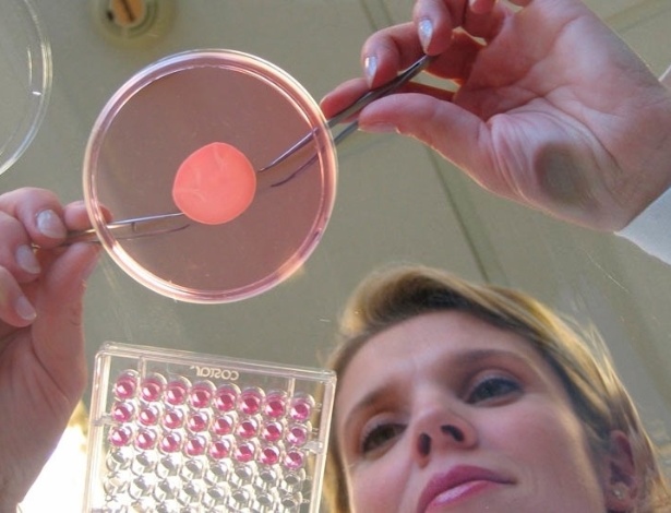 L"Oreal quer aumentar produção de pele para testes de produtos a partir de contrato com empresa de bioimpressão 3D - Divulgação