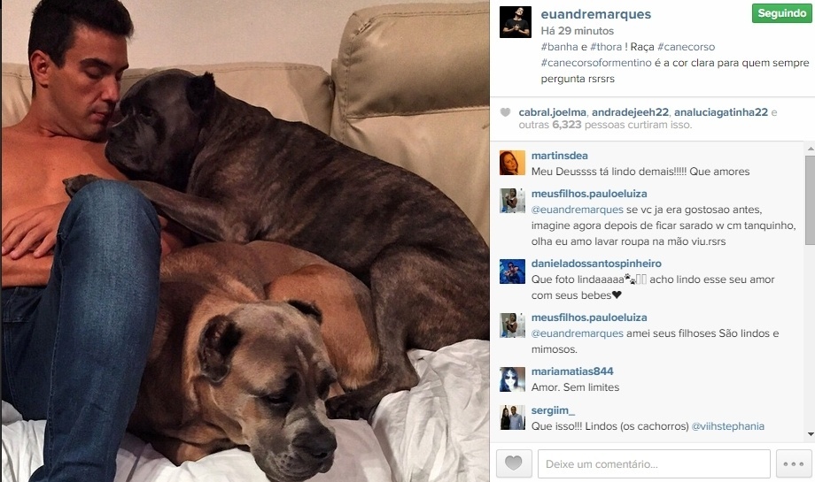 2.jun.2015 - Apaixonado por seus cães, o apresentador André Marques publicou uma foto mimando seus dois animais, na noite desta terça-feira. 